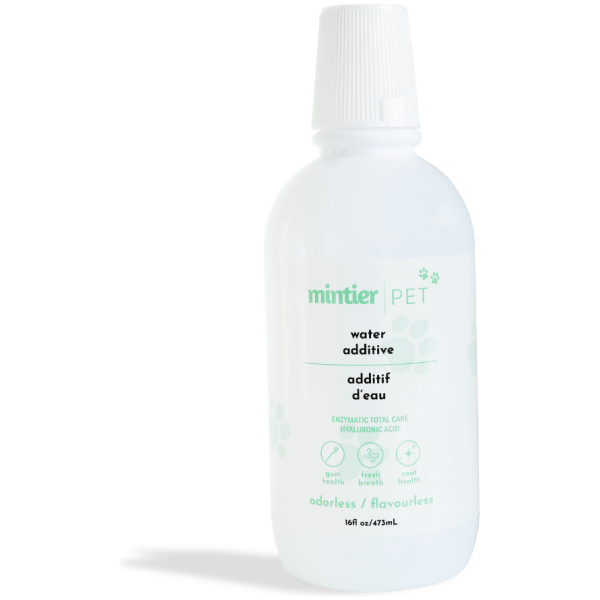 Mintier Pet Water Additive