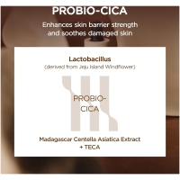 SKIN1004 Madagascar Centella Probio-Cica Intensive Ampoule - 95ml - Image 3